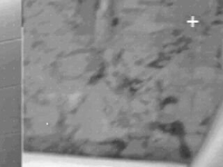 Ellas4.com - The delicious brunette Pamela Santos