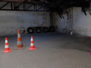 Ania The Magnificent