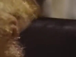 Huge Boobs Blonde Vintage Threesome Fucking Big Cock Sucking Dildo Penetrated With Marc Wallace, Jade East And Peter North