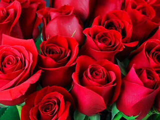 Bangla choti golpo full story in Bangla audio  golpo beautiful mature saree chachi cheating hasband full story in Bangldio story