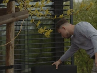 Blazing Whirlwind - Sakura Hell & Pavlos