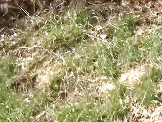 Shannon Kelly, a redhead with tattoos, engages in a pleasurable sexual encounter on a red couch.