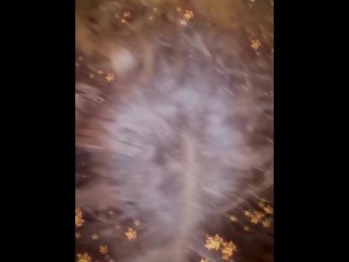 Milf Gives Mechanic Blowjob  For Payment