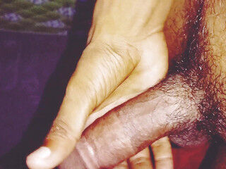 Bangla choti golpo, Stepsiste , Bangla Hot