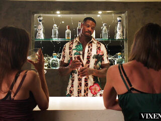 VIXENPLUS Teaching Vol 2 Compilation