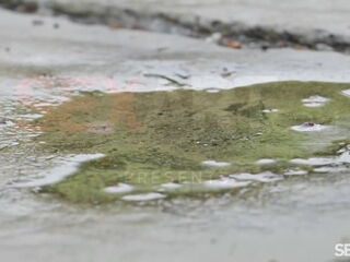 Date Night - Kama Oxi & Lorenzo Viota