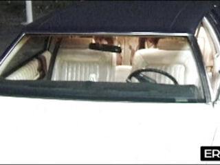 Titty Mania: Sensational Delights