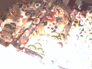 BLOWING A CUMLOAD ON GAYLES FACE