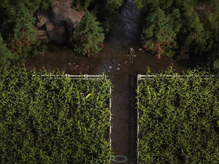 The Genesis Order - Playthrough Episode 18