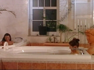 My Dear Language Teacher