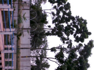 Morning Sex of Married Indian Couple Weekend Special