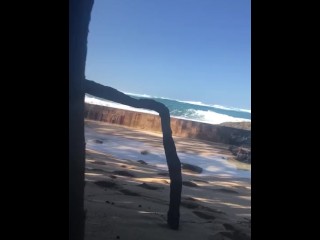 Swift outdoor blow-job on the beach